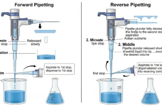Forward vs reverse pipetting technique comparison 2025
